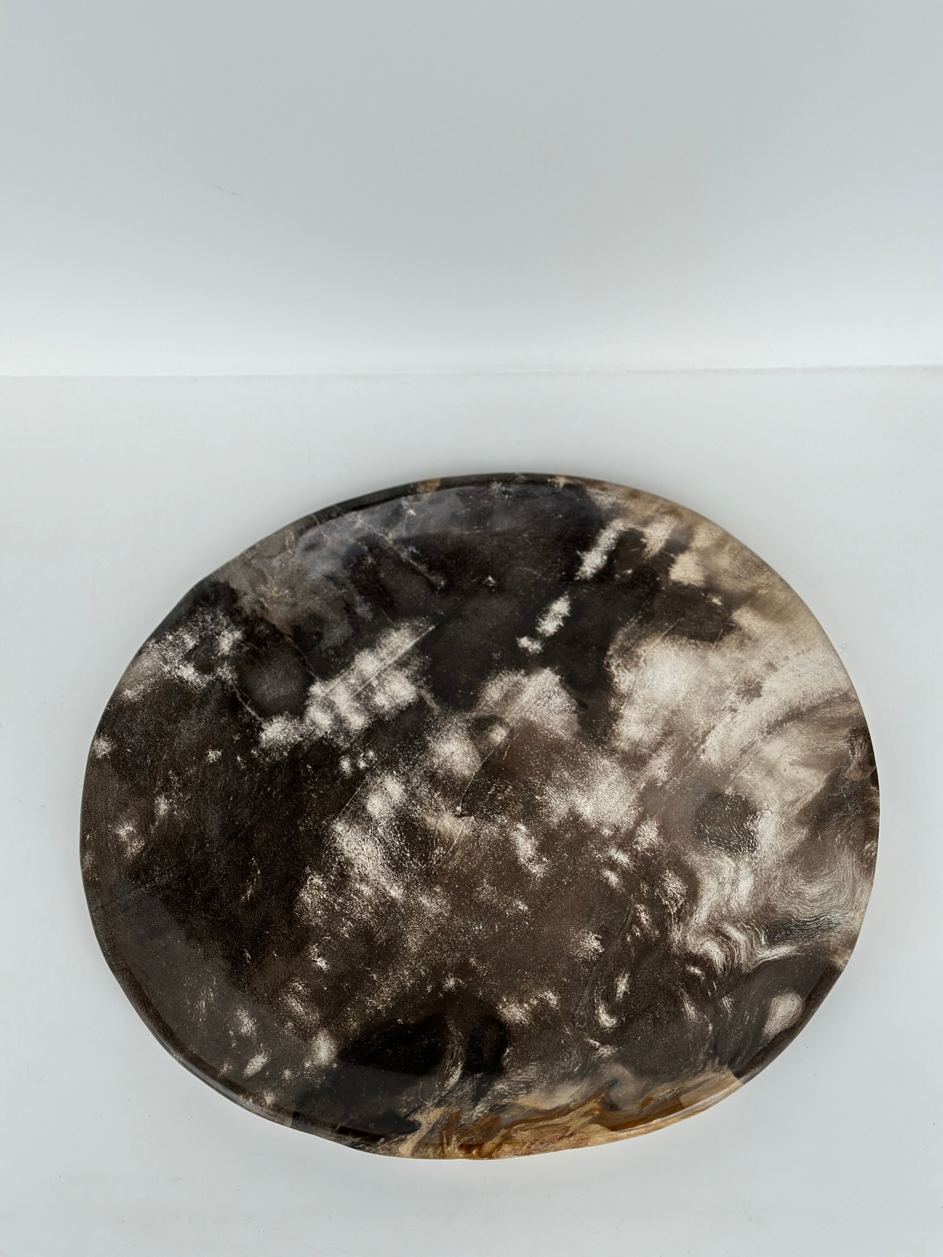 Dish in petrified wood