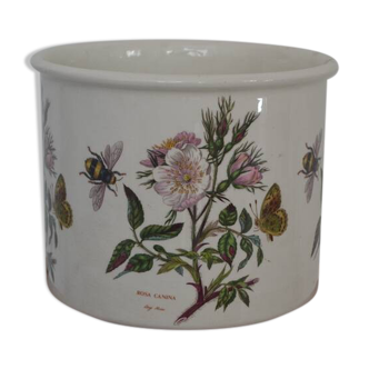 Botanic garden plant pot
