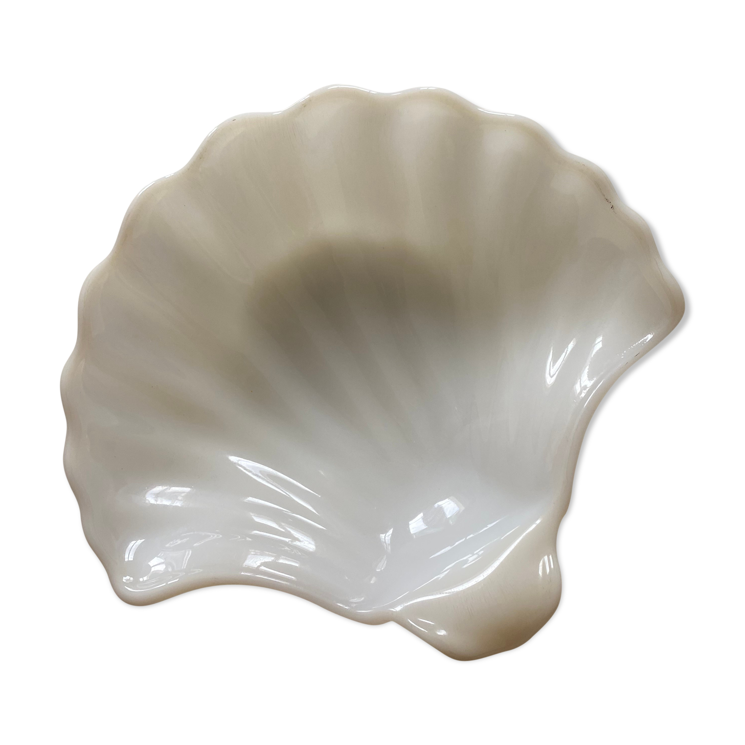 White opaline cup form shell