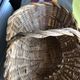 Panier en osier ancien