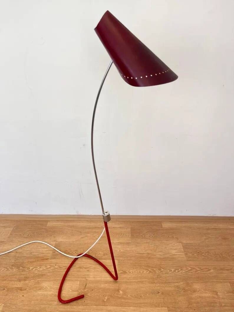 Mid century organic Design Floor Lamp by Josef Hůrka, 1960s / Napako