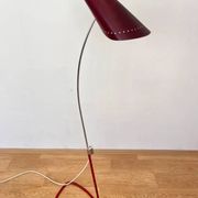 Mid century organic Design Floor Lamp by Josef Hůrka, 1960s / Napako