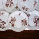 Set of 6 vintage Sarreguemines dinner plates, Danish pattern 210412