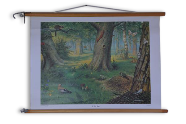 School without the forest, 1960 vintage card s