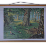 School without the forest, 1960 vintage card s