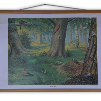 School without the forest, 1960 vintage card s