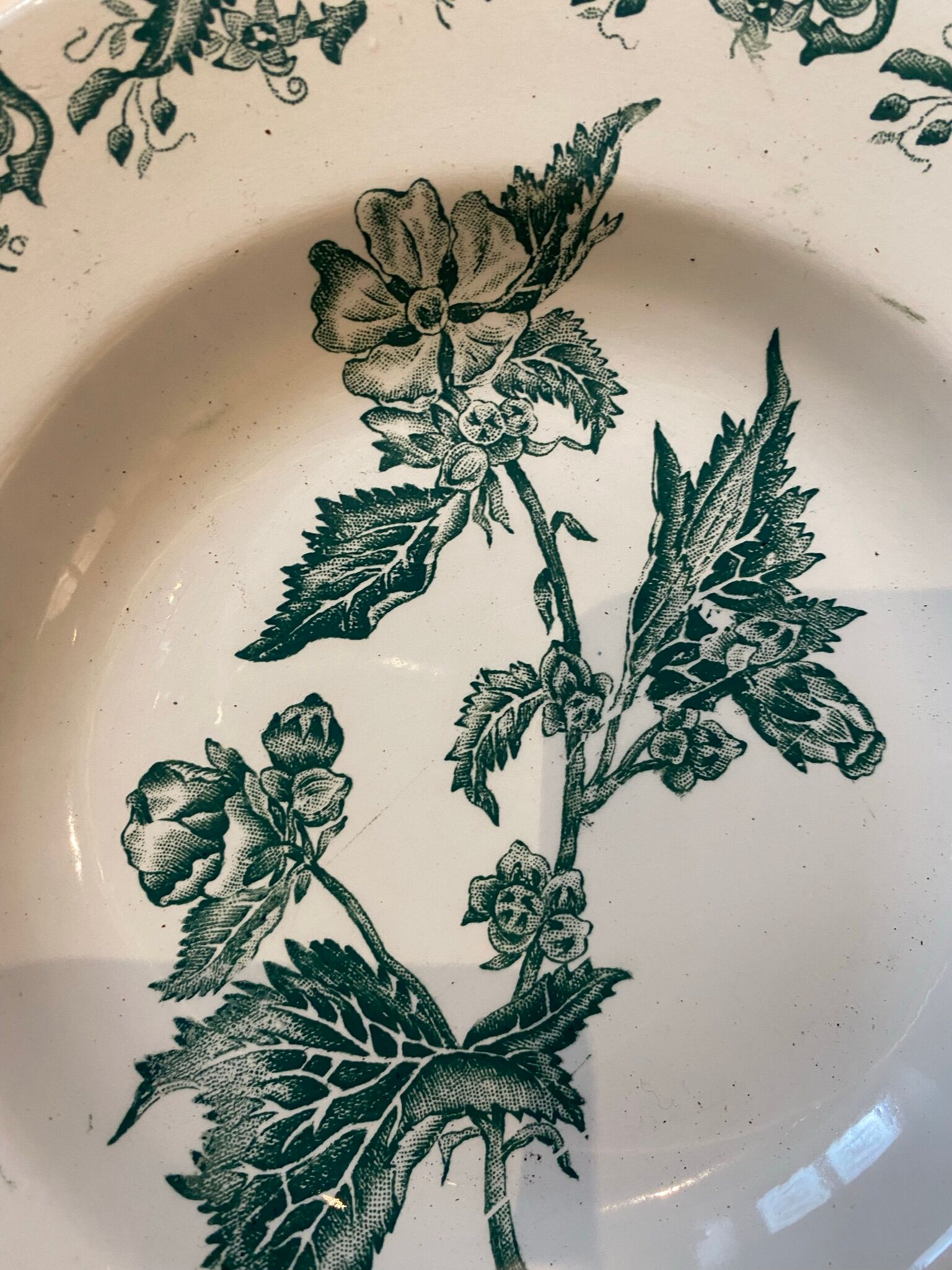Set of 4 hollow plates, foliage decorations, Manufacture de St-Amand-les-Eaux