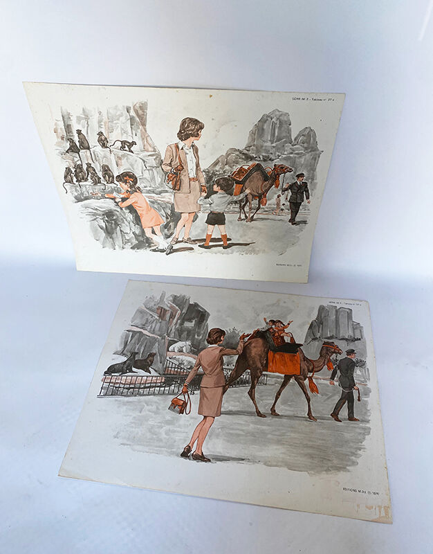 Affiche zoo, oiseaux