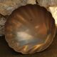 Large brass shell-shaped pocket emptier