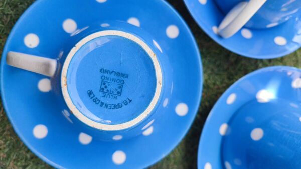 6 tasses à thé et sous-tasses anglaises TG Green