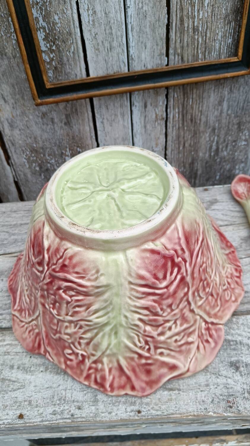 Pink cabbage slip salad bowl