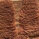 Moroccan Berber rug camel terracotta 300x200 cm – geometric pattern