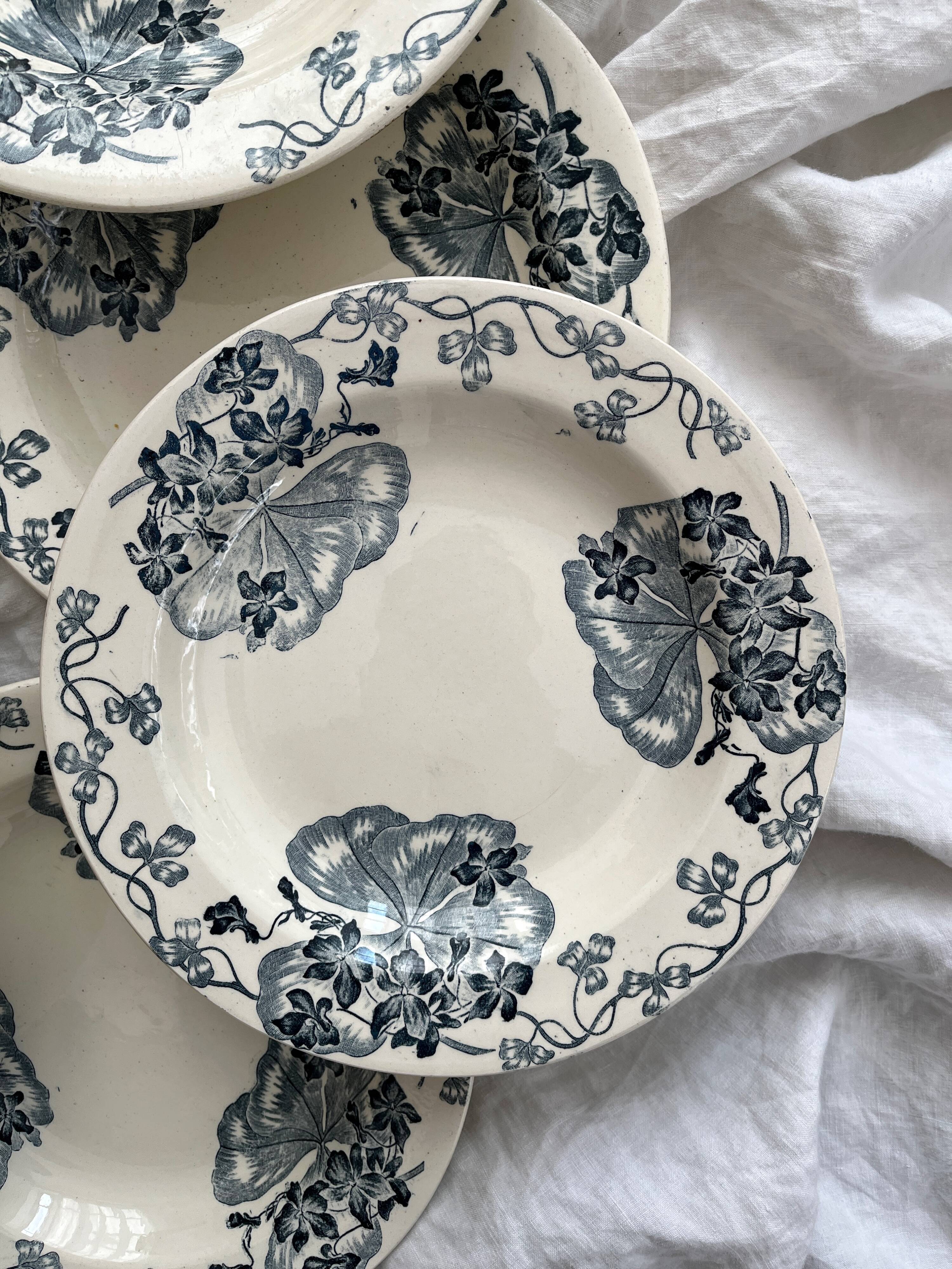 8 ironstone soup plates "Les Violettes" Salins