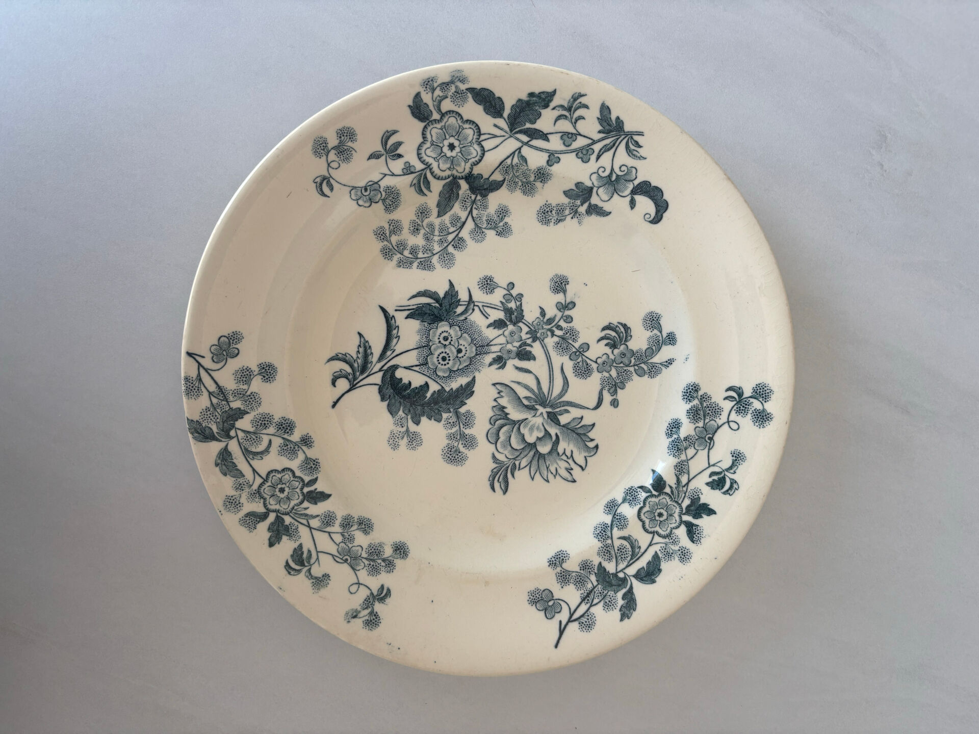 Flat plate iron earth Longwy model Ycho - blue flower faience ja
