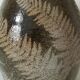 Vintage enamelled ceramic vase decorated with ferns