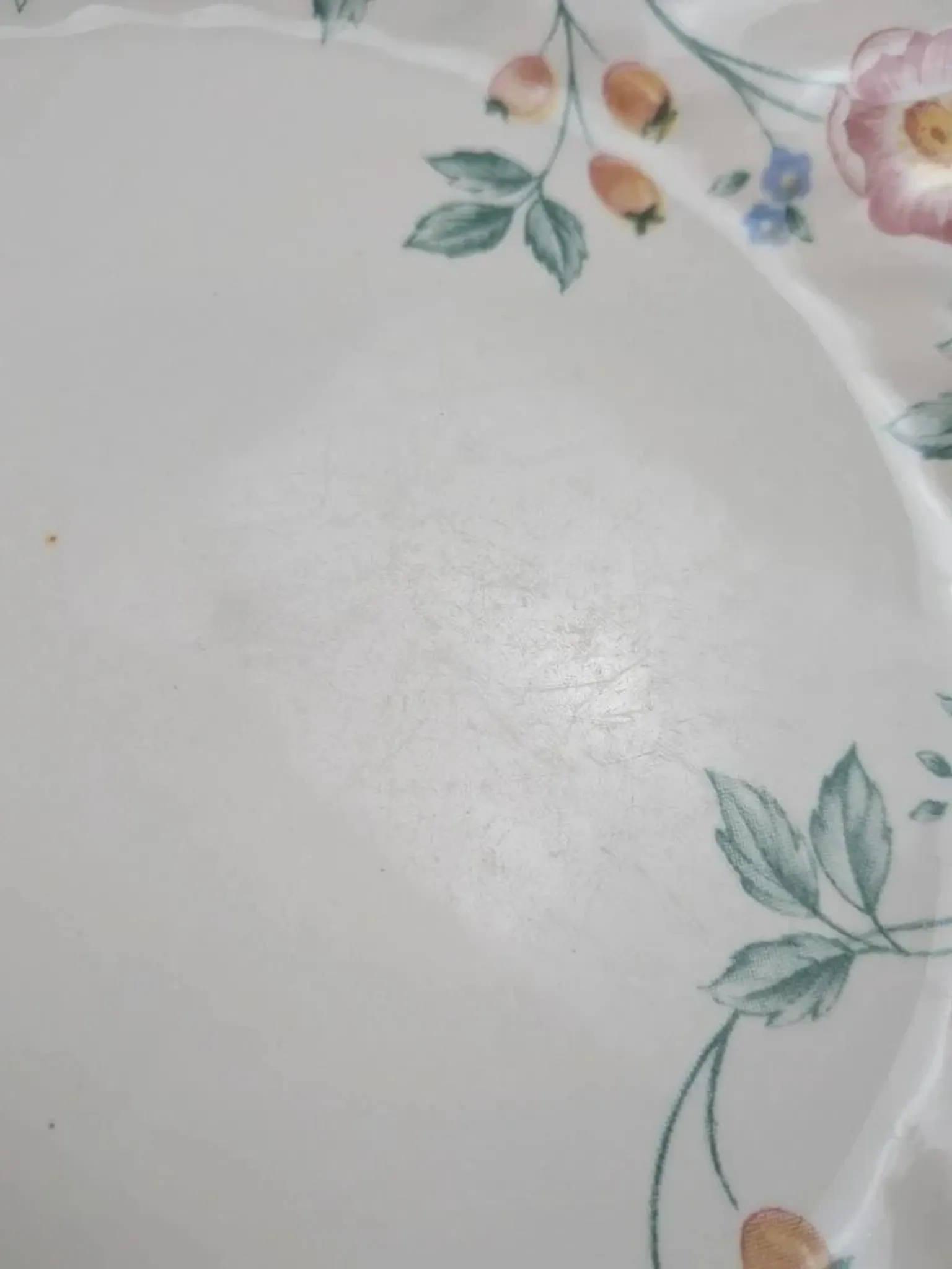 Set of 5 Churchill Briar Rose dinner plates – Vintage English earthenware