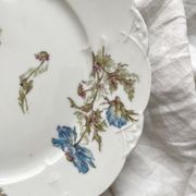 Low Limoges porcelain compote dish