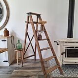 Montana painter's stepladder