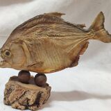 Stuffed fish, Amazonian piranha, 1980