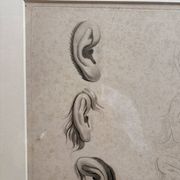 Old Print Engraving 19th Century Study of an Ear Sketch After Raphael Pasquier