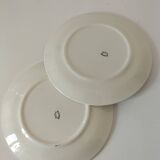 Duo d’assiettes à dessert Gien décor floral bleu et mauve peint à la main