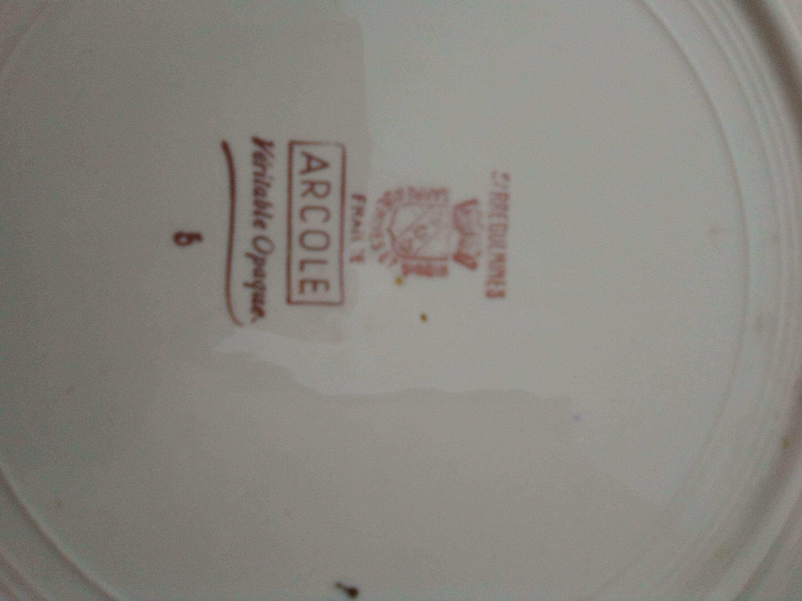 Flat plate in earthenware of Digoin Sarreguemines model Arcole diam 23,5 cm