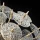 Lustre Sputnik floral en verre et laiton, Allemagne, années 1960