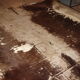 Tanned cowhide from the 70s - 77x95cm