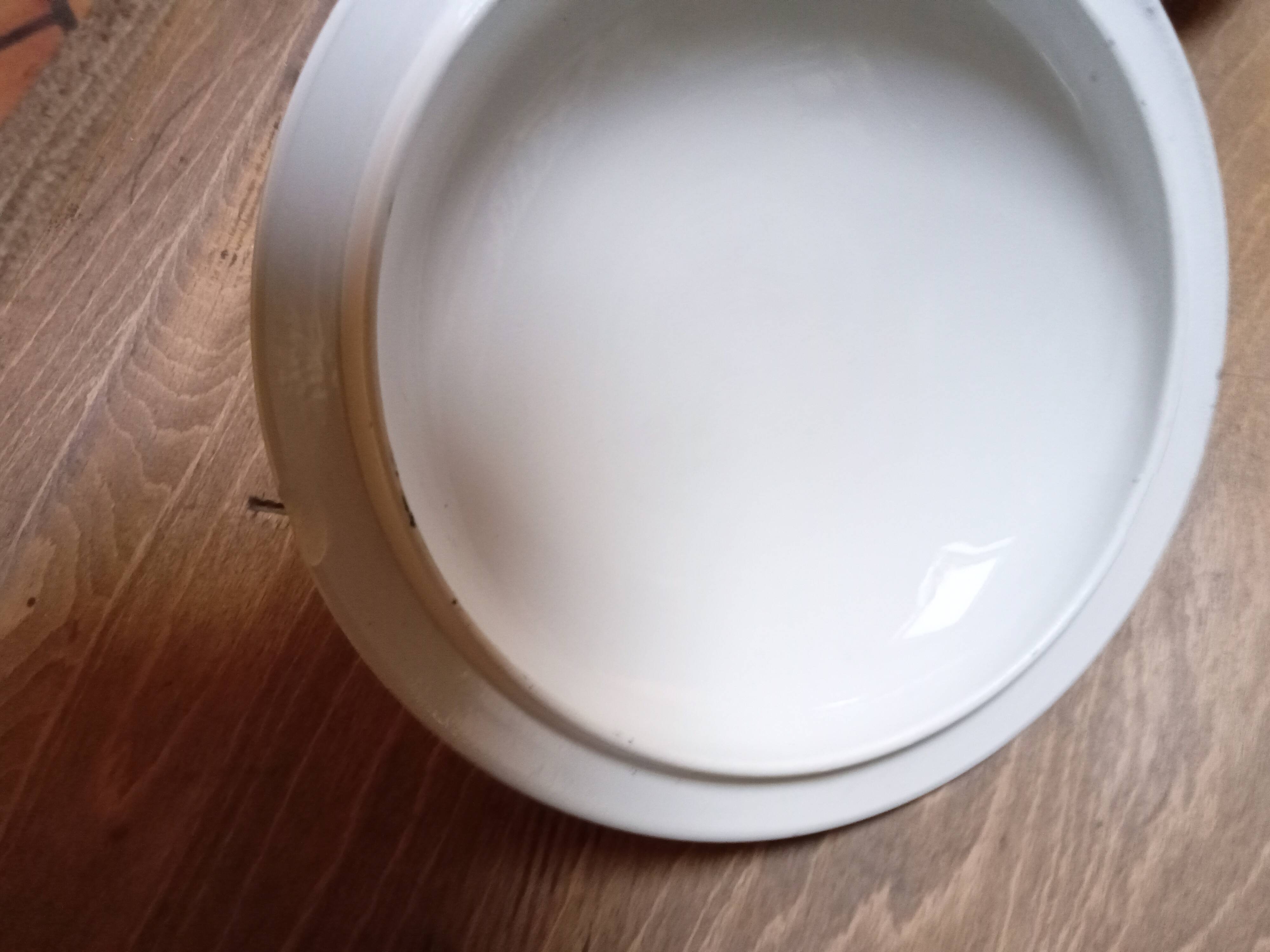 Tureen Iron Earth Orchids