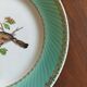 6 assiettes plates Fenal Badonviller "Oiseaux" vintage années 1950