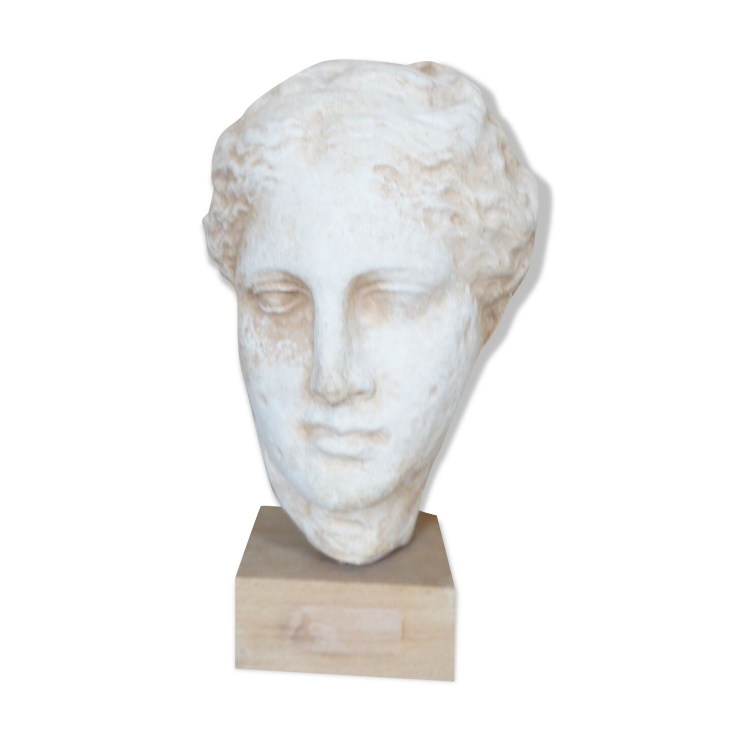 Head plaster goddess hygeia
