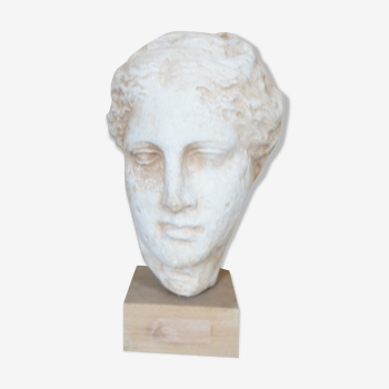 Head plaster goddess hygeia