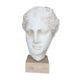 Head plaster goddess hygeia
