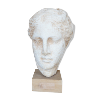 Head plaster goddess hygeia