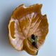 Empty pocket slurry ceramic enamelled ochre model vintage olives