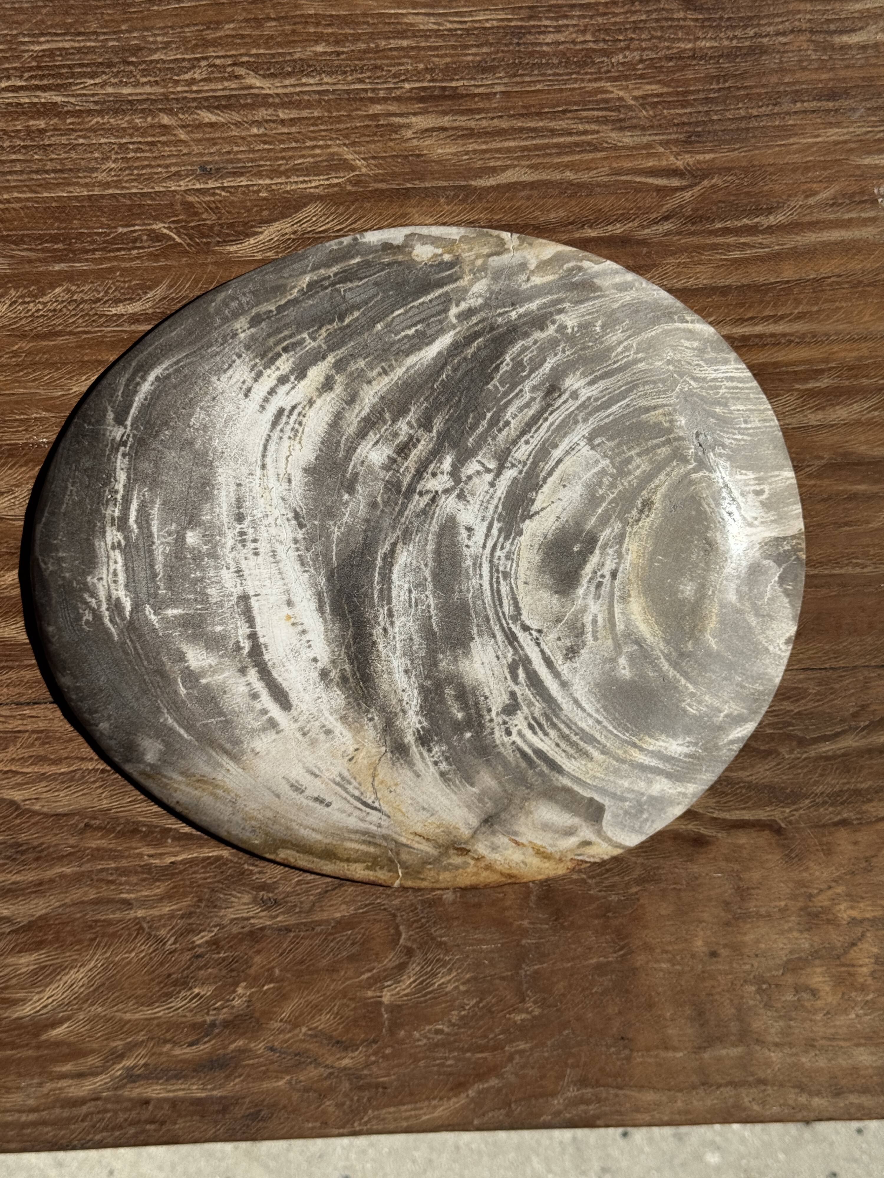 Petrified wood bowl or dish D27-23 -3322