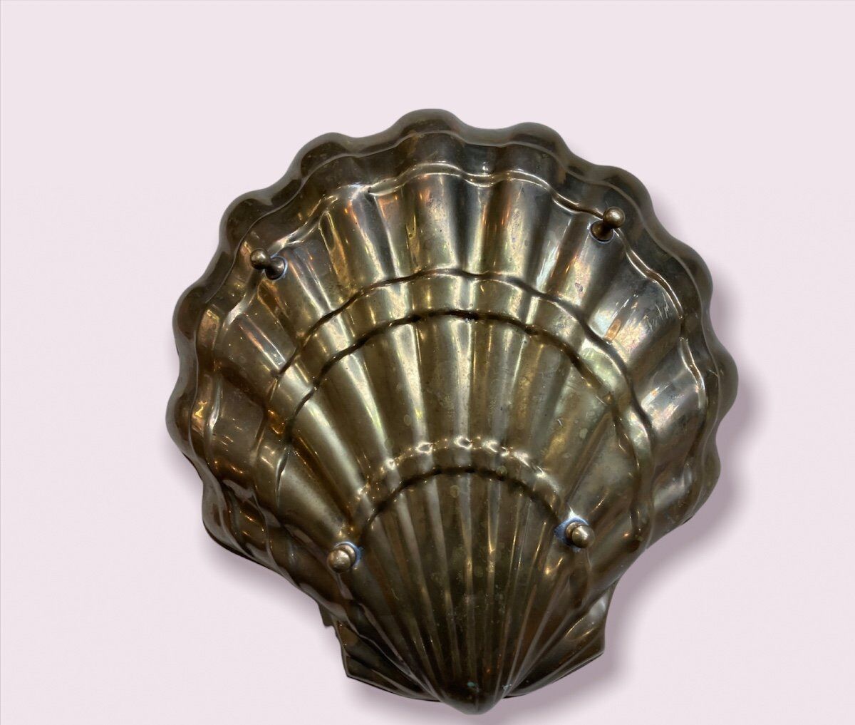 Golden Shell Brass Cup