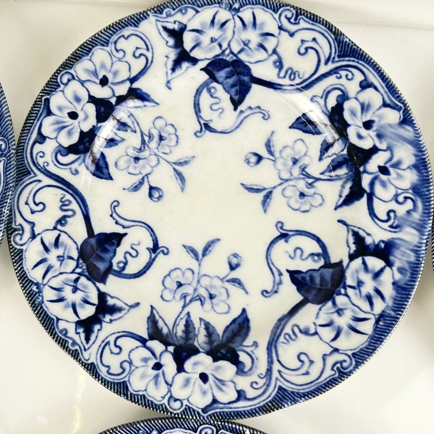 Set of 6 dessert plates in ironstone "Flora" – Creil et Montereau, 19th century, blue