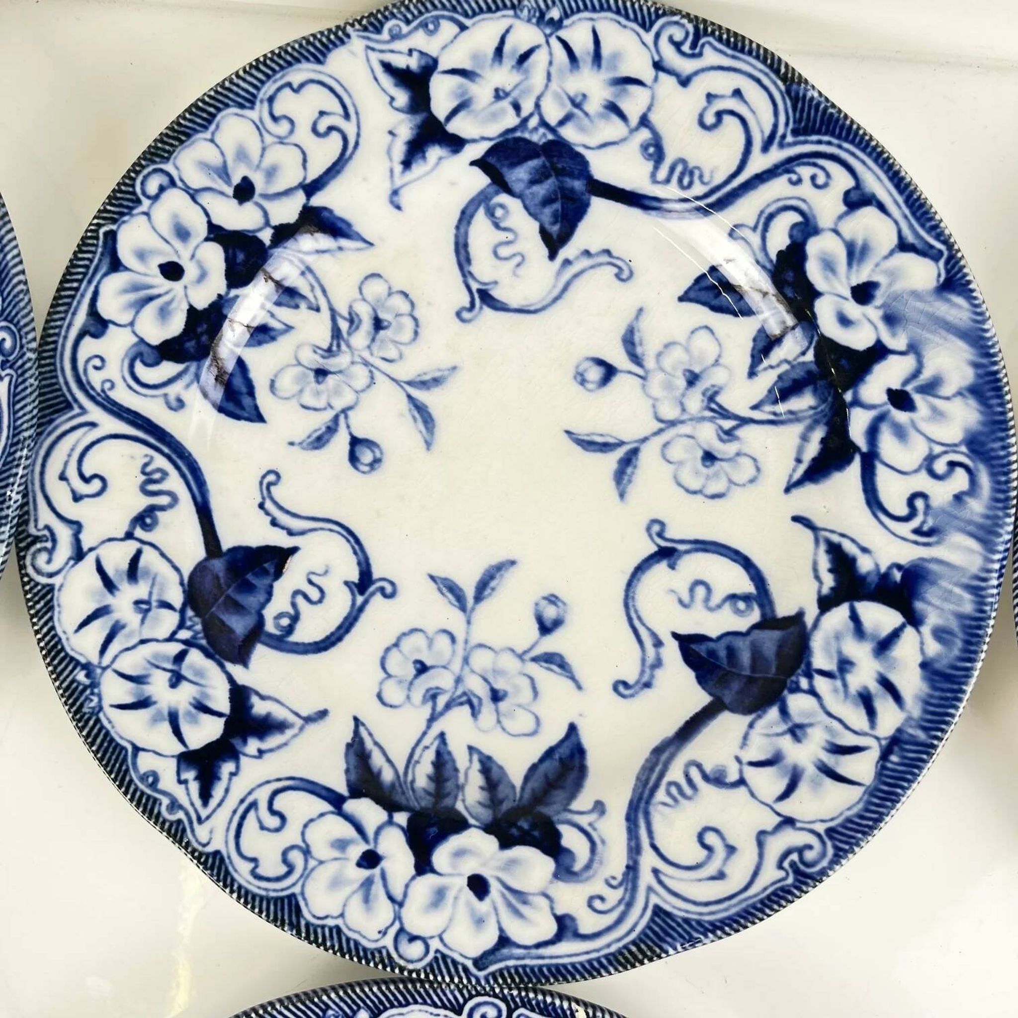 Set of 6 dessert plates in ironstone "Flora" – Creil et Montereau, 19th century, blue