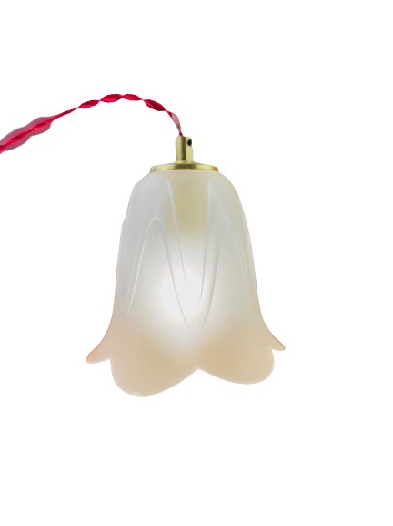 Walking lamp or suspension opaque globe shape of Art Deco flower