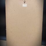 Lithograph Rose Sparkling flowers double flowers