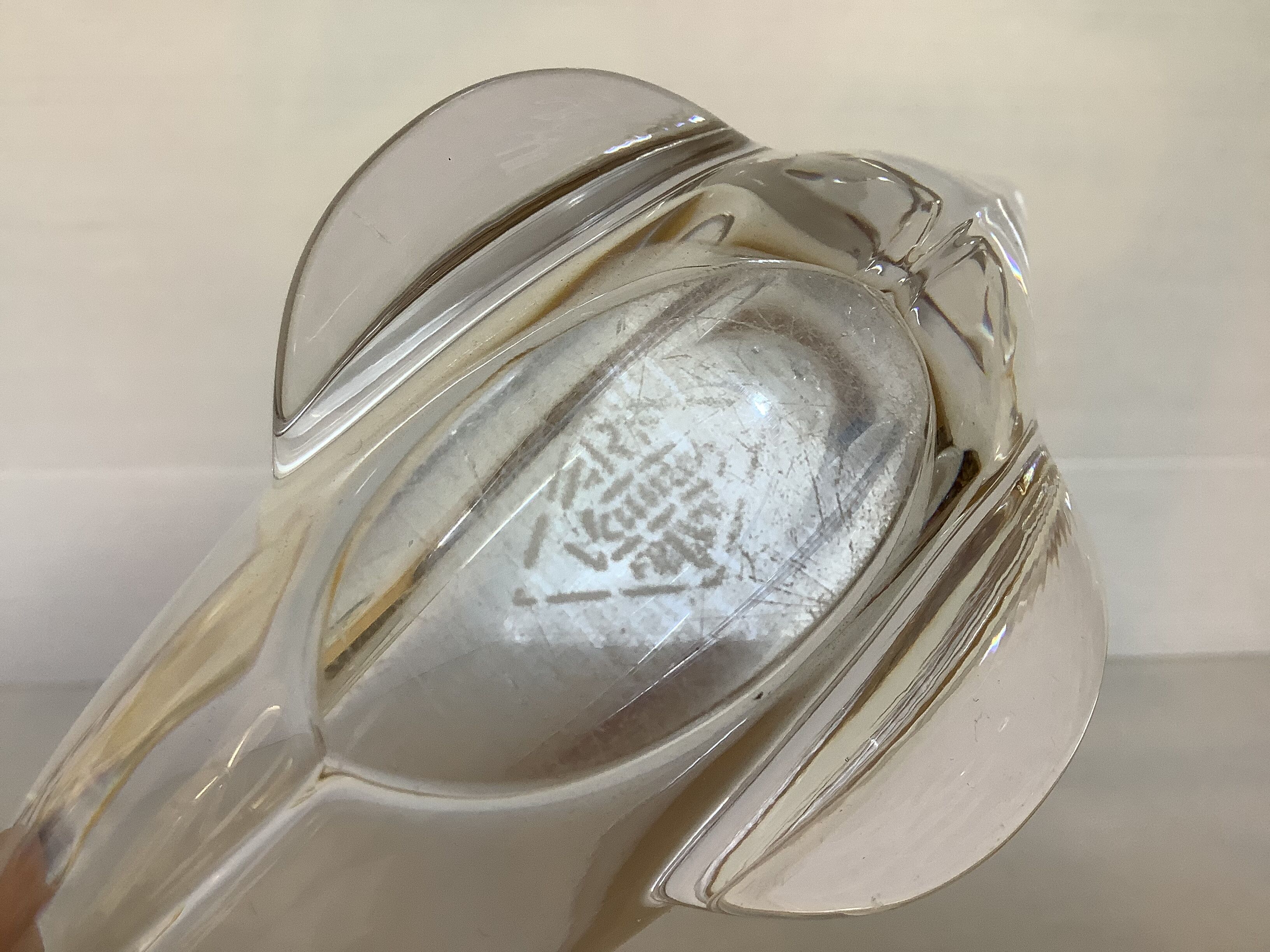 Dolphin zoomorphic crystal Vannes le Châtel