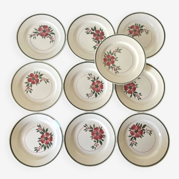 Old earthenware dinner plates HBCM, Simone