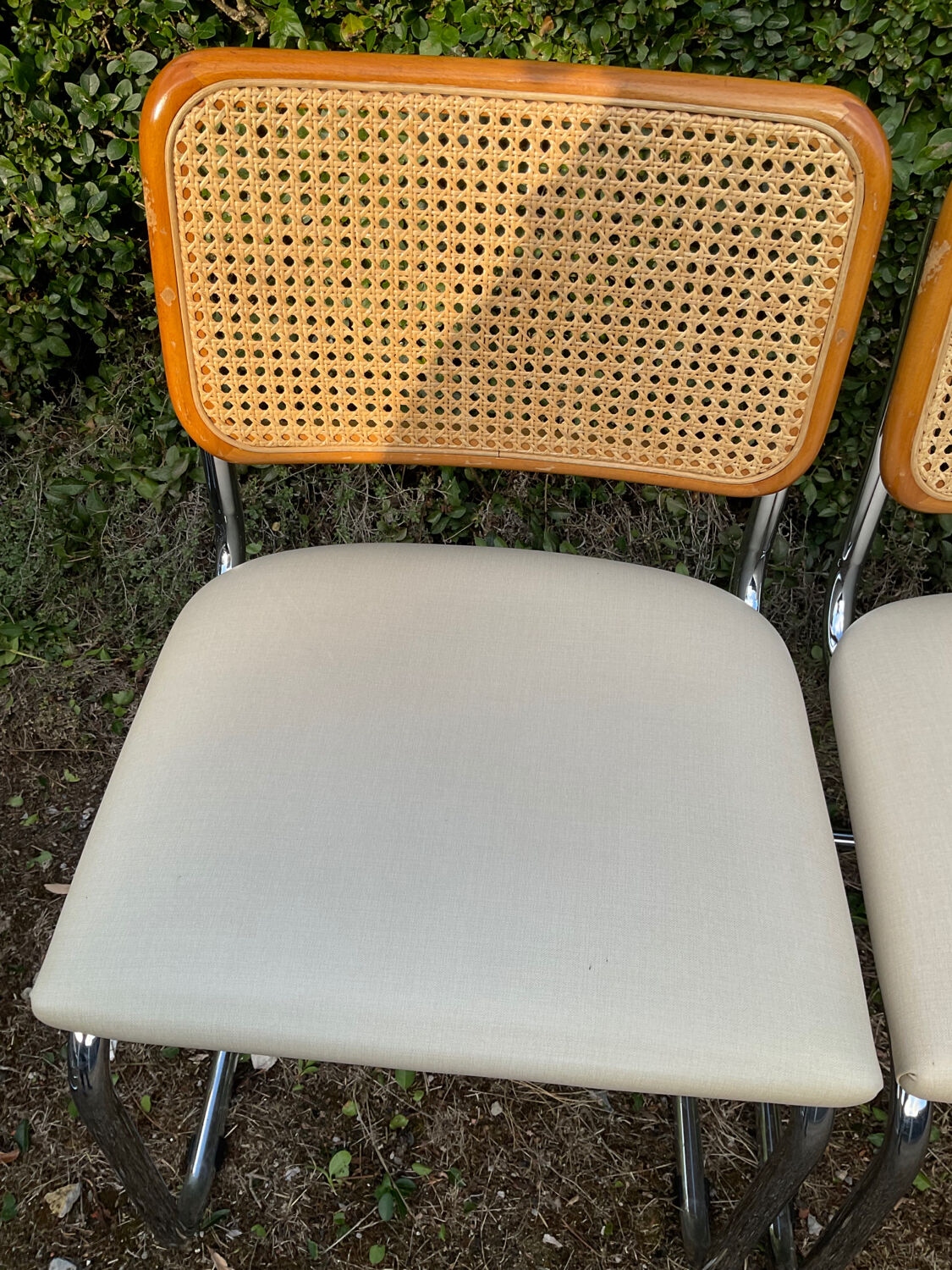 Series of 6 chairs Marcel Breuer Cesca B32