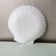 White ceramic dish shaped like 80s shells