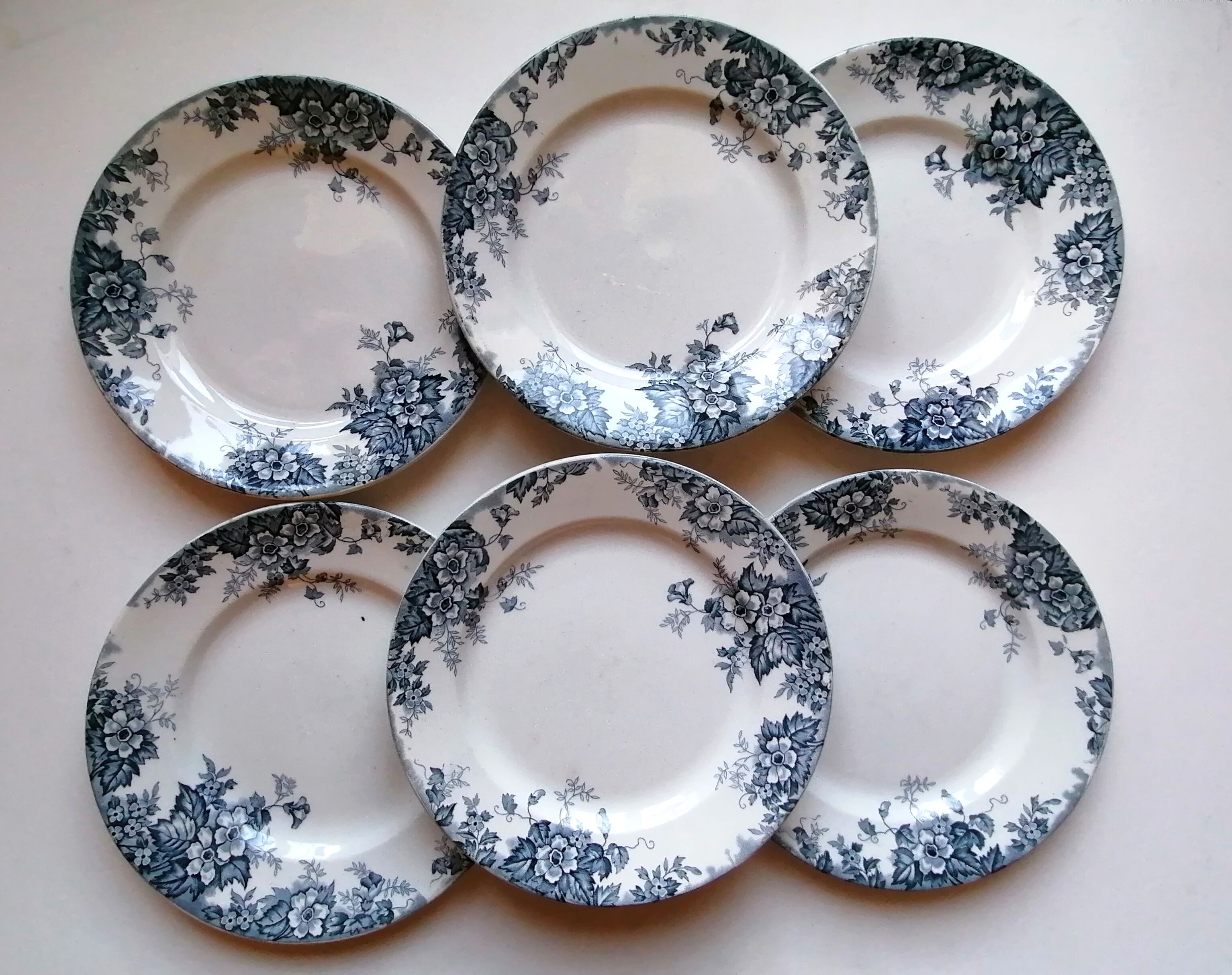 6 plates earth of iron blue and white mill of wolves