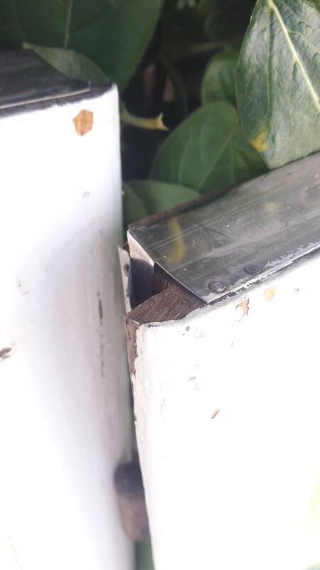 Lot of 4 oak windows H141xL112/117cm old small panes