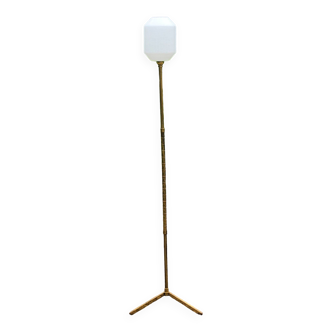 Vintage floor lamp from the 50s in golden brass with bamboo glass shade