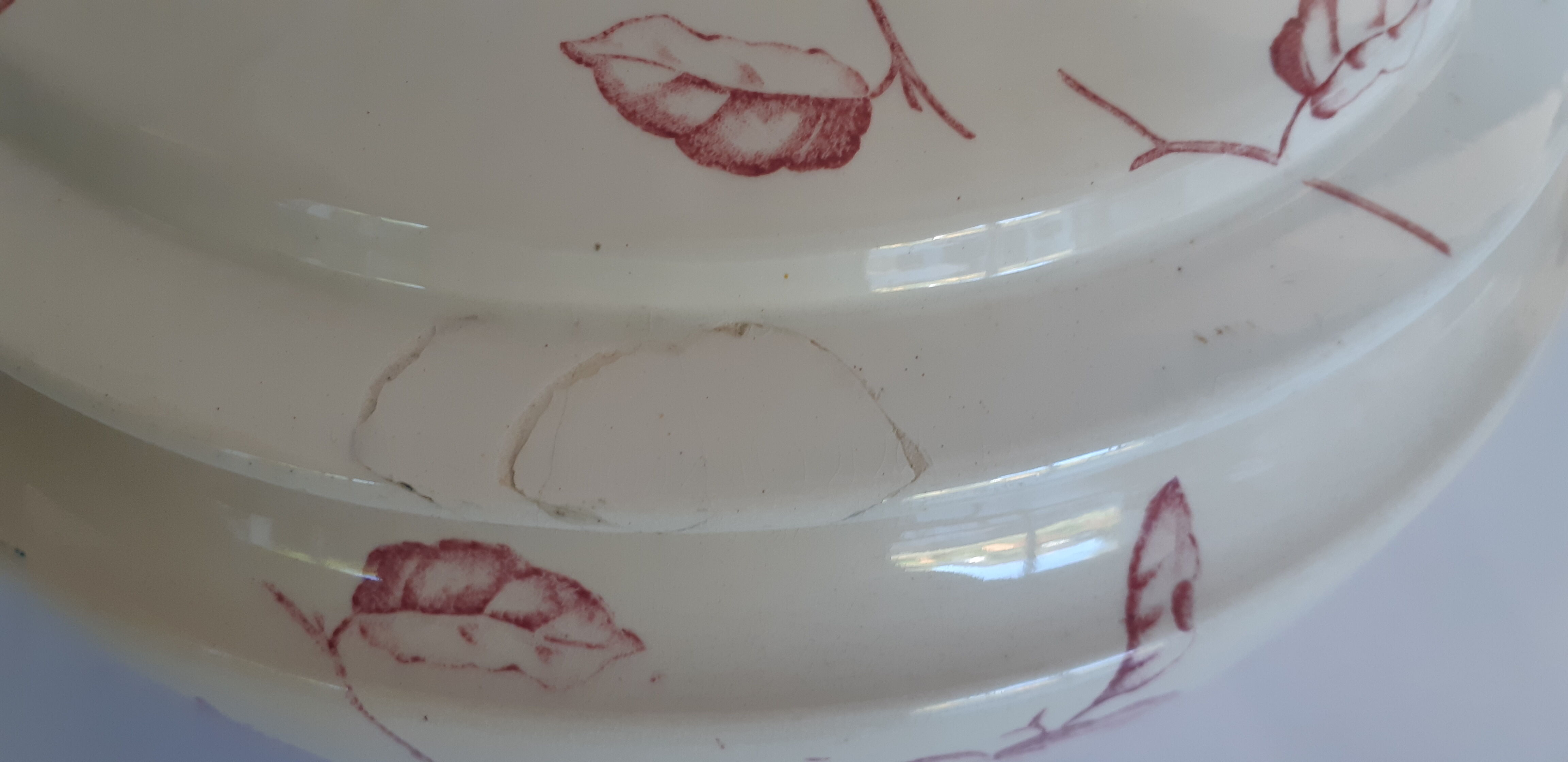 Soup pattern "Chevrefeuille" iron earth, Salins, porcelain