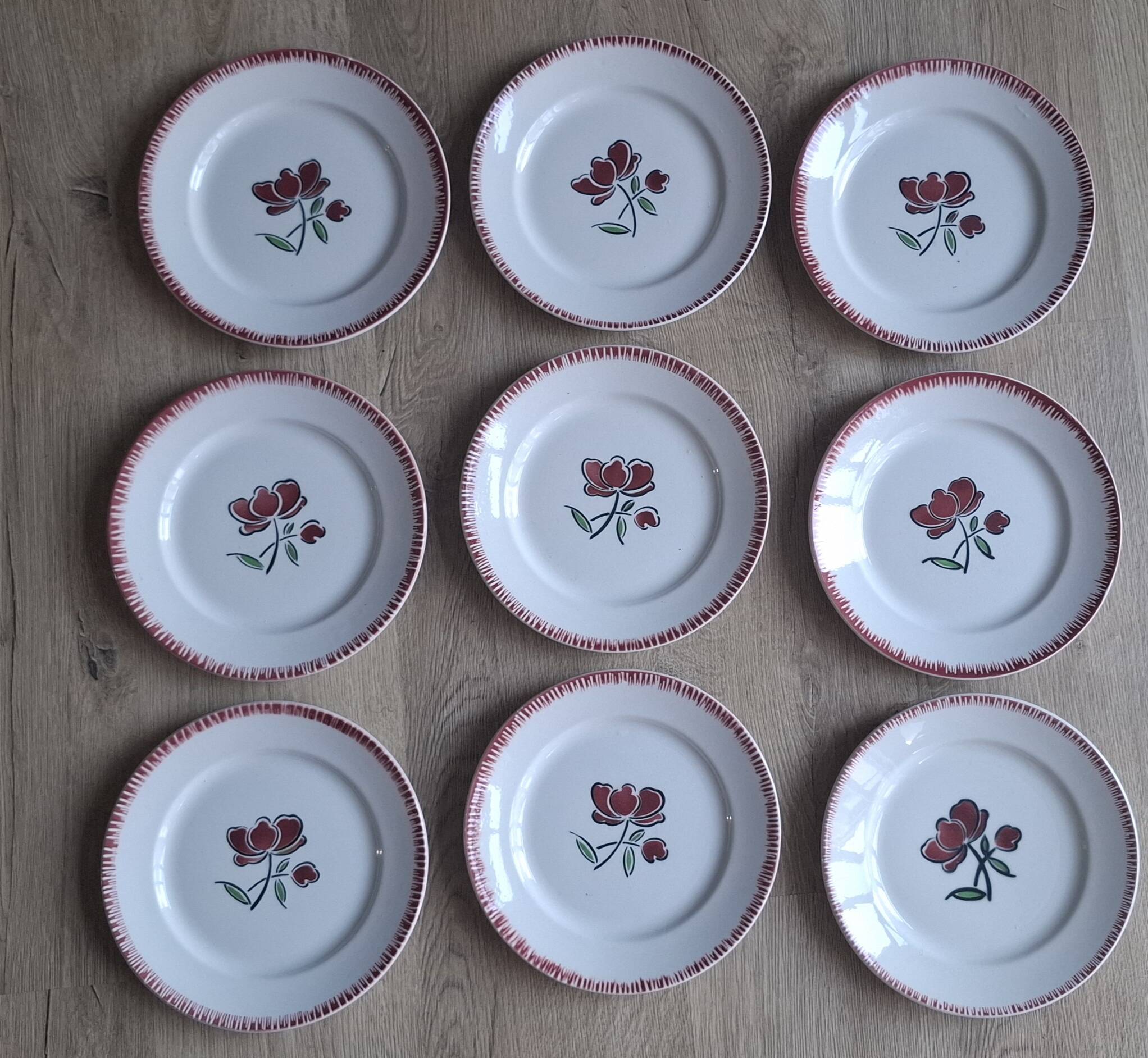 Set of 9 Badonviller flower dinner plates